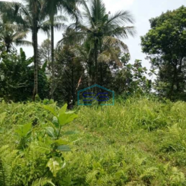 Dijual Tanah Lokasi di Pamijahan Bogor Luas Tanah 77000m2-4