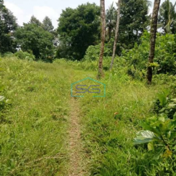 Dijual Tanah Lokasi di Pamijahan Bogor Luas Tanah 77000m2-1