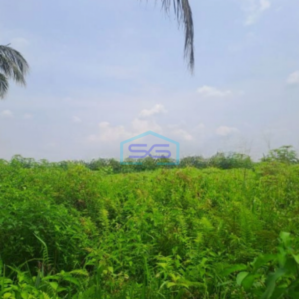 Dijual Tanah Lokasi di Pamijahan Bogor Luas Tanah 77000m2-2