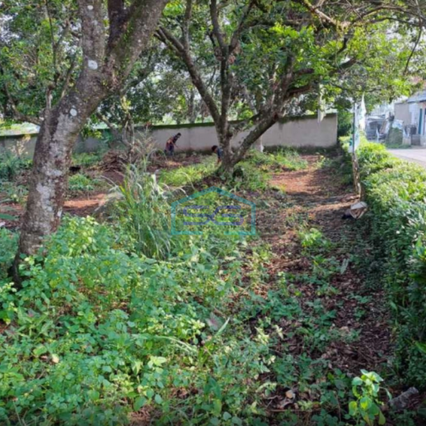 Dijual Tanah di Area Ciampea Bogor Lokasi Strategis Pinggir Jalan SHM-3
