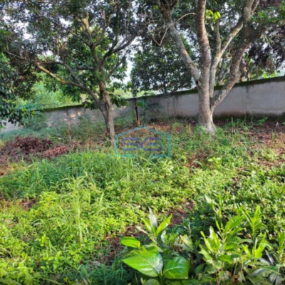 Dijual Tanah di Area Ciampea Bogor Lokasi Strategis Pinggir Jalan SHM