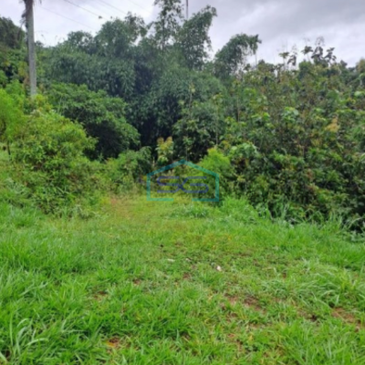 Dijual Tanah Pasir Angin Lahan Bagus di Megamendung Bogor LT 3000m2