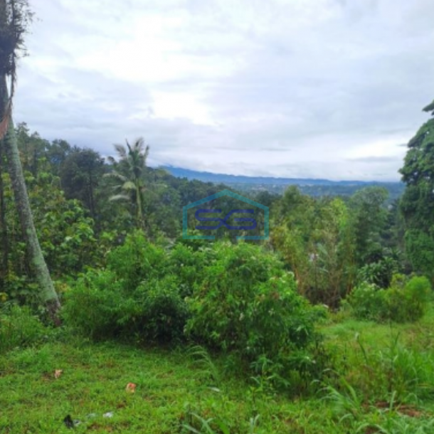 Dijual Tanah Pasir Angin Lahan Bagus di Megamendung Bogor LT 3000m2-2