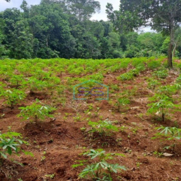 Dijual Tanah Lokasi di Kertajaya Rumpin Bogor Luas Tanah 8000m2-3