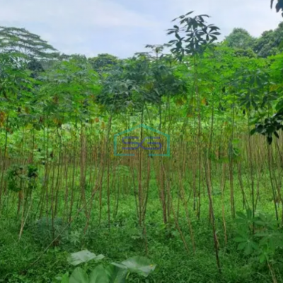 Dijual Tanah Lokasi di Kertajaya Rumpin Bogor Luas Tanah 8000m2