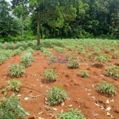 Dijual Tanah Lokasi di Kertajaya Rumpin Bogor Luas Tanah 8000m2