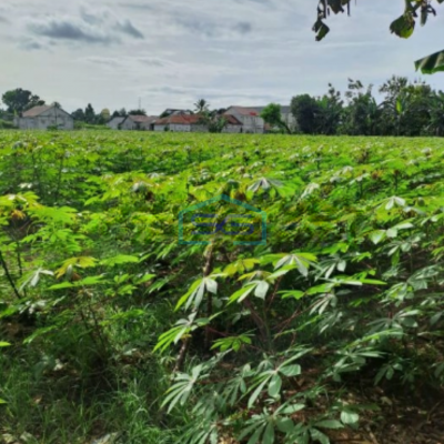 Dijual Tanah Ciseeng Bogor di Pinggir Jalan Raya Luas Tanah 27000m2