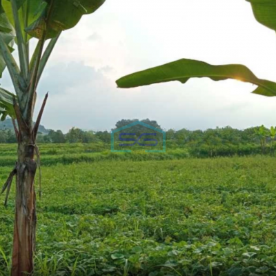 Dijual Tanah di Jalan Raya Dago Parung Panjang Bogor LT 50000m2