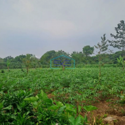 Di Tanah di Daerah Cibeuteung Udik Ciseeng Bogor Luas Tanah 15000m2