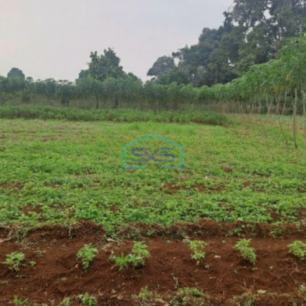 Di Tanah di Daerah Cibeuteung Udik Ciseeng Bogor Luas Tanah 15000m2-2