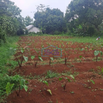 Dijual Tanah Di Tegal Kemang Bogor Lokasi di Pinggiran Kota SHM