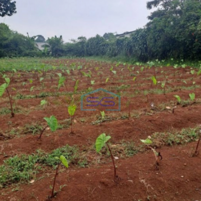 Dijual Tanah Di Tegal Kemang Bogor Lokasi di Pinggiran Kota SHM