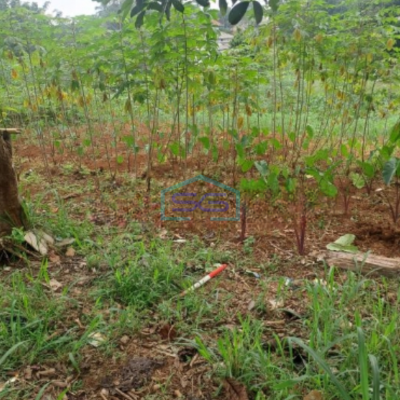 Dijual Tanah di Ciseeng Bogor Jawa Barat Lokasi Bebas Banjir