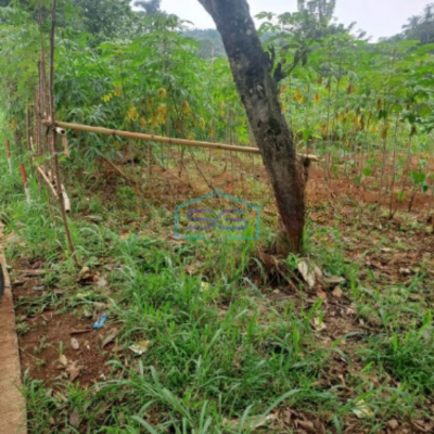 Dijual Tanah di Ciseeng Bogor Jawa Barat Lokasi Bebas Banjir