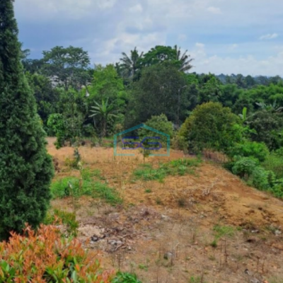 Dijual Tanah Ada Bangunan di Desa Cipayung Bogor Luas Tanah 5000m2