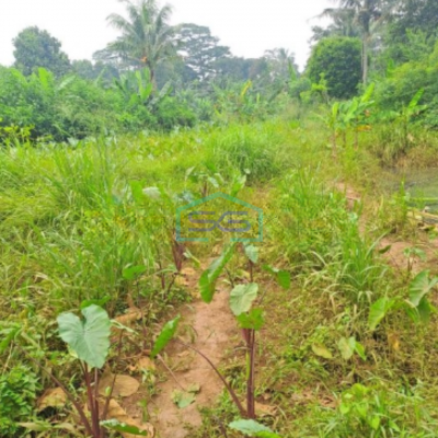 Dijual Tanah di Daerah Kemang Bogor Luas Tanah 3000m2