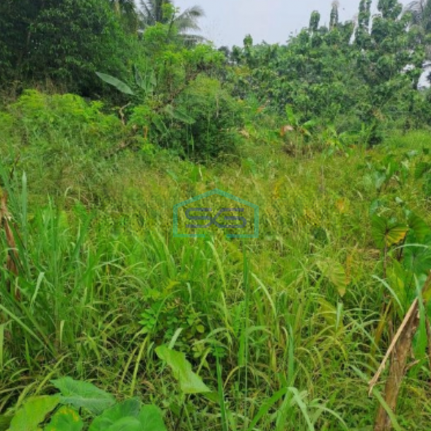 Dijual Tanah di Daerah Kemang Bogor Luas Tanah 3000m2-2