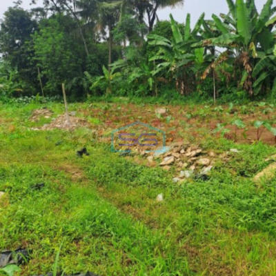 Dijual Tanah di Daerah Kemang Bogor Luas Tanah 3000m2