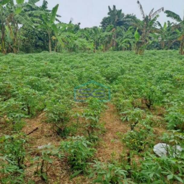 Dijual Tanah di Kemang Bogor Desa Tegal Kahuripan Luas Tanah 3000m2-1