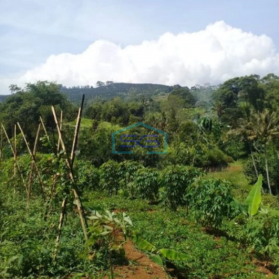 Dijual Tanah Desa Cijulang Bendungan Cipayung Bogor LT 10000m2