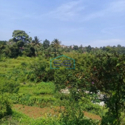 Dijual Tanah Desa Cijulang Bendungan Cipayung Bogor LT 10000m2