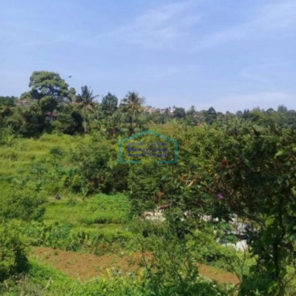 Dijual Tanah Desa Cijulang Bendungan Cipayung Bogor LT 10000m2-2