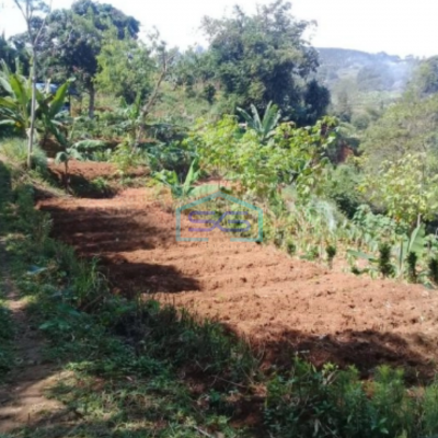 Dijual Tanah Desa Cijulang Bendungan Cipayung Bogor LT 10000m2