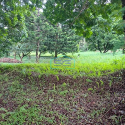 Dijual Tanah Jalan Kawasan Cisarua Bogor Luas Tanah 10000m2