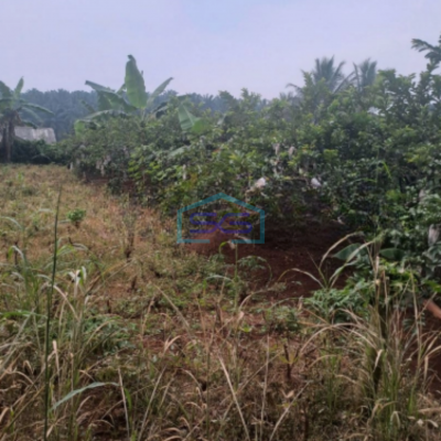 Dijual Tanah Bojong Kopasus Kemang Bogor Luas Tanah 3000m2