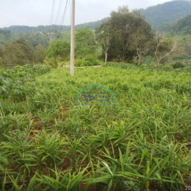 Dijual Tanah Di kebunduren Kutawarngin Cianjur Luas Tanah 85000m2-3