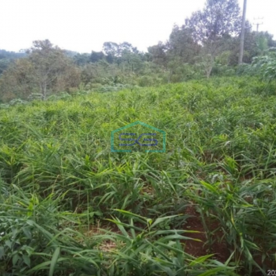 Dijual Tanah Di kebunduren Kutawarngin Cianjur Luas Tanah 85000m2