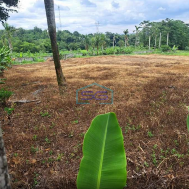 Dijual Tanah Bebas Banjir di Kawasan Industri Tengsaw Citeureup Bogor LT 30000m2-1