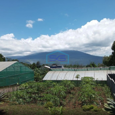 Dijual Tanah Plus Bangunan di Daerah Caringin Bogor Luas Tanah 3000m2