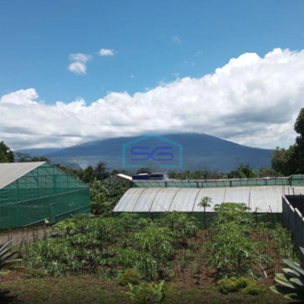 Dijual Tanah Plus Bangunan di Daerah Caringin Bogor Luas Tanah 3000m2-1