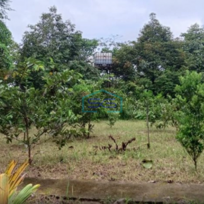 Dijual Tanah Plus Ruang Usaha Lokasi Strategis di Cicurug Sukabumi LT 27000m2