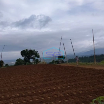 Dijual Tanah di Desa Bojongmurni Ciawi Bogor Luas 50000m2