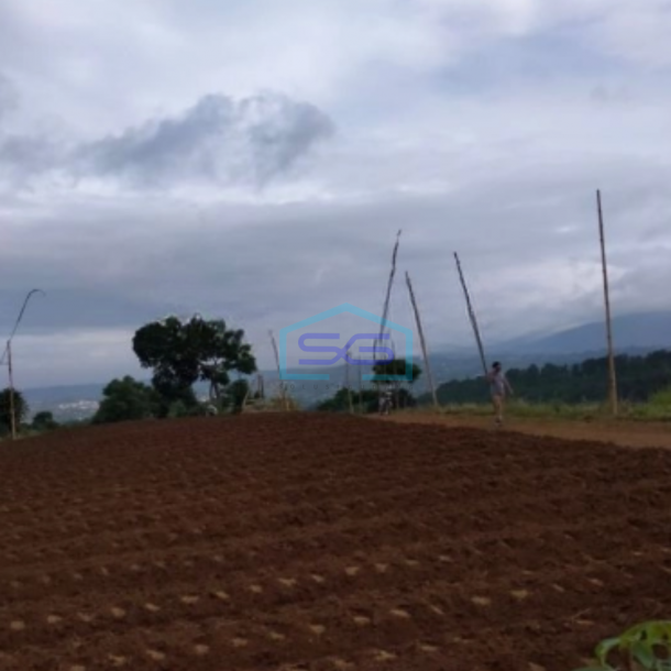 Dijual Tanah di Desa Bojongmurni Ciawi Bogor Luas 50000m2-2