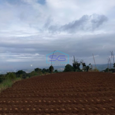 Dijual Tanah di Desa Bojongmurni Ciawi Bogor Luas 50000m2