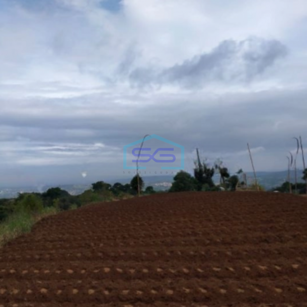 Dijual Tanah di Desa Bojongmurni Ciawi Bogor Luas 50000m2-1