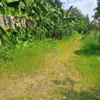 Dijual Tanah di Desa Batu Tulis Nanggung Bogor Luas Tanah 4 Hektar