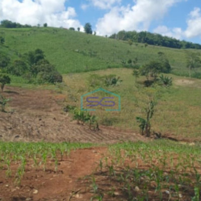 Dijual Tanah Bantarkalong Warung Kiara Sukabumi Jawa Barat LT 30000m2