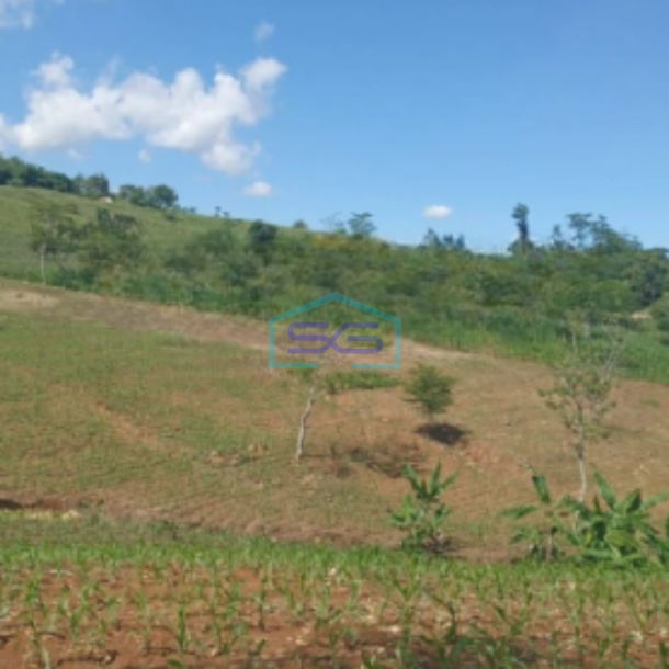 Dijual Tanah Bantarkalong Warung Kiara Sukabumi Jawa Barat LT 30000m2-4