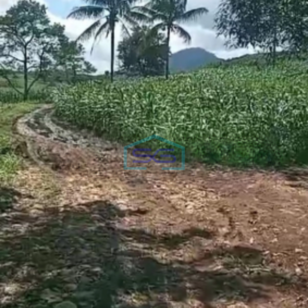 Dijual Tanah Bantarkalong Warung Kiara Sukabumi Jawa Barat LT 30000m2-3