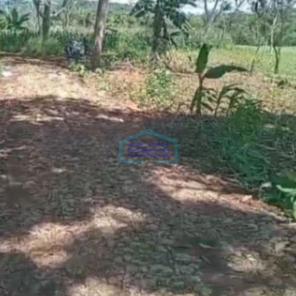 Dijual Tanah Bantarkalong Warung Kiara Sukabumi Jawa Barat LT 30000m2-2