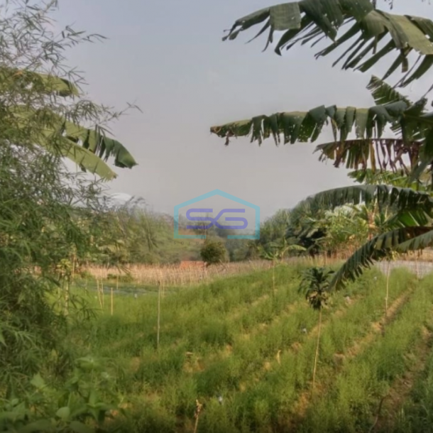Dijual Tanah Giri Jaya Cidahu Sukabumi Luas Tanah 25000m2-1