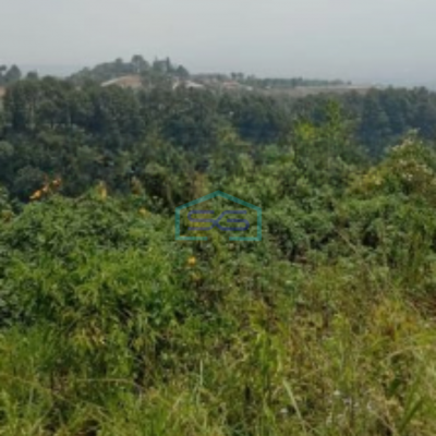 Dijual Tanah di Daerah Pancawati Caringin Bogor Luas 1700m2