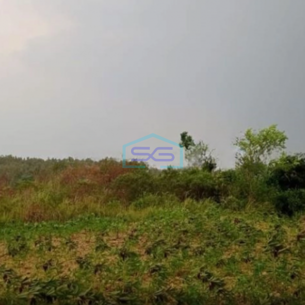 Dijual Tanah Lokasi Bagus Desa Pabuaran Sukamakmur Bogor Luas Tanah 20000m2-4