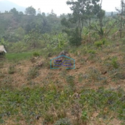 Dijual Tanah Lokasi Bagus Desa Pabuaran Sukamakmur Bogor Luas Tanah 20000m2