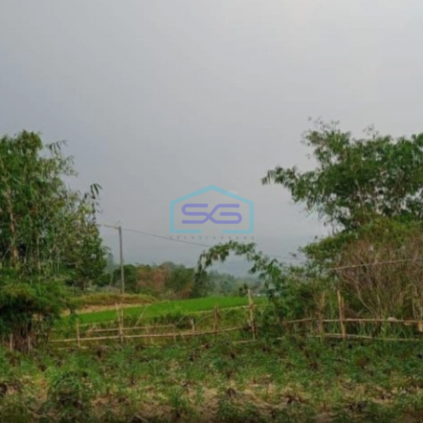 Dijual Tanah Lokasi Bagus Desa Pabuaran Sukamakmur Bogor Luas Tanah 20000m2-1