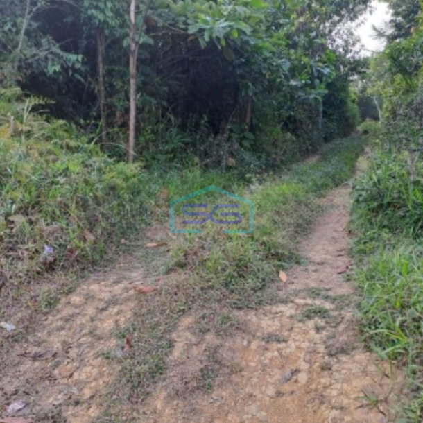 Dijual Tanah Sukajaya Jonggol Bogor Luas Tanah 170000m2-2